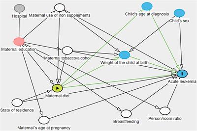 A protective maternal nutrient concomitant intake associated with acute leukemia might be modified by sex, in children under 2 years